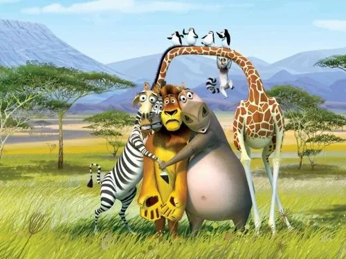 Imagenes Tiernas de Madagascar | Imagenes para Facebook [FB]