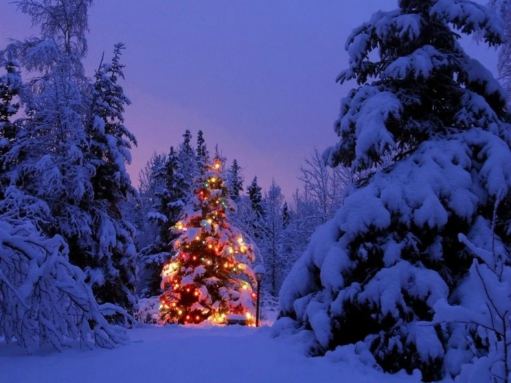 Fondos de pantalla ARBOL DE NAVIDAD - Fondo de pantalla ARBOL NAVIDEÑO