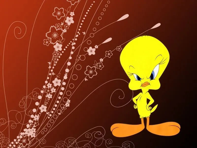 fondos de pantalla de Piolin. wallpapers de Piolin