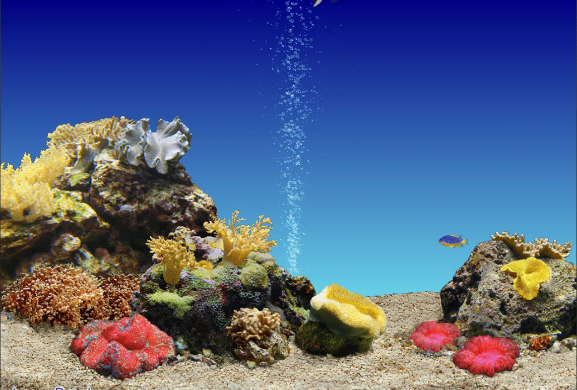 Fondos de pantalla HD 3D con movimiento gratis - Imagui