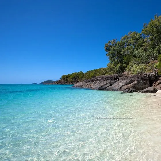 Descargar fondos de pantalla para tablet | Aplicaciones tablet