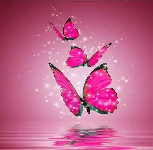 fondos de pantalla de mariposas - Buscar con Google | fondo ...