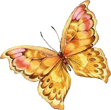 ?Fondos De Pantalla y Mucho Más??: Mariposas Gif - Png