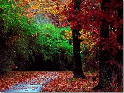 Fondos de Pantalla de Paisajes Coloridos | Banco de Imagenes Gratuitas