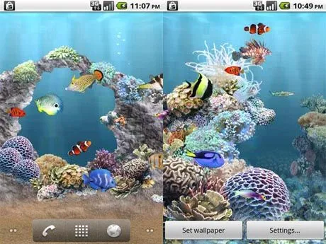 Fondos de pantalla movibles de peces - Imagui