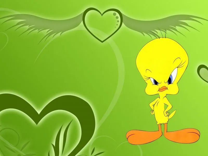 fondos de pantalla de Piolin Amarillo. wallpapers de Piolin Amarillo