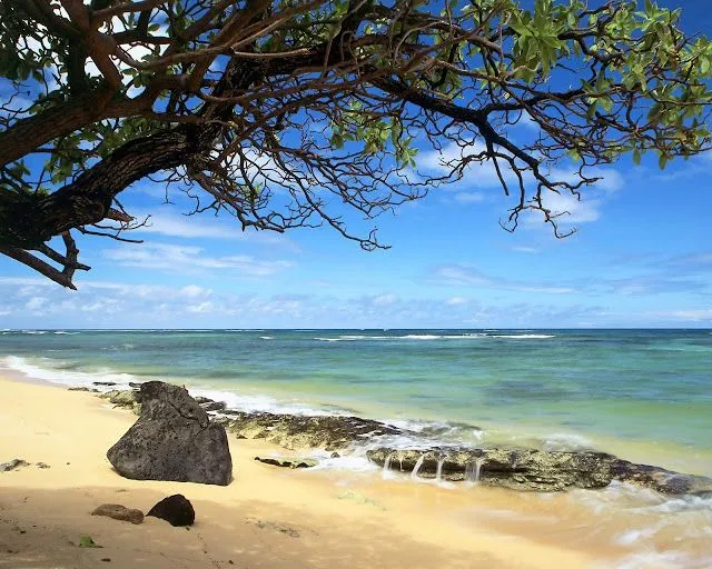 Fondos de playas - Imagui