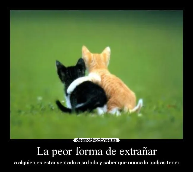 La peor forma de extrañar | Desmotivaciones