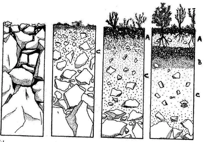 La Formación del Suelo, el Agua, la Agricultura y el ...