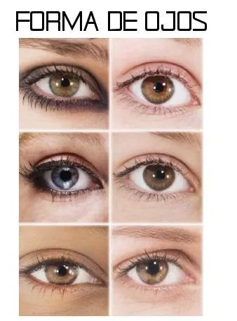 Diferentes formas de ojos. - TU MODA LISTA