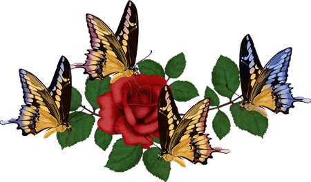 gifs-mariposas - Red de amigos de la EP 23 de Florencio Varela ...