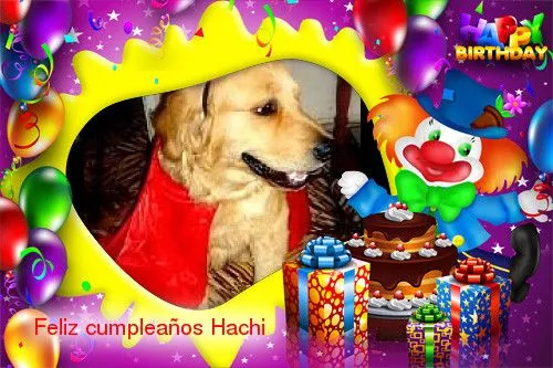 Foro - El cumpleaños de Hachi / Uniteddogs