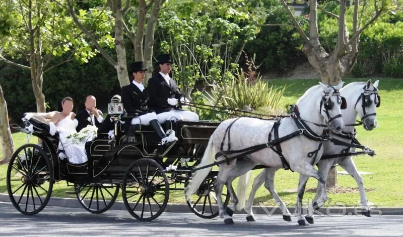 Foto: Alquiler de Coche de Caballos para Bodas u otros Eventos