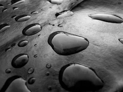 Foto Bazar: gotas de agua en blanco y negro - wallpaper -