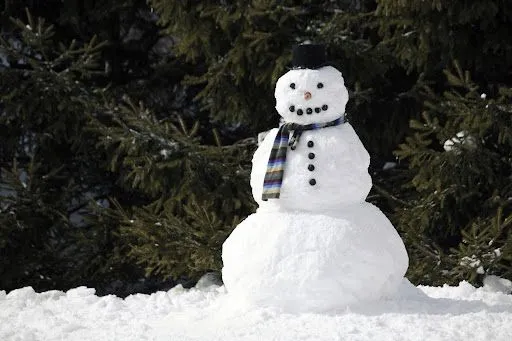 Foto Bazar: muñeco de nieve - invierno - bosques - sombreros ...