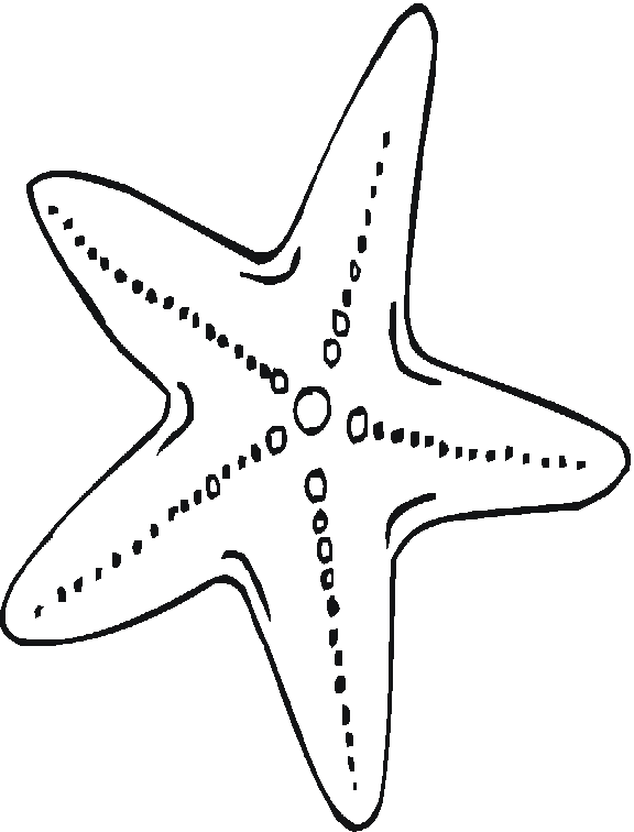 Dibujo estrella de mar para imprimir - Imagui