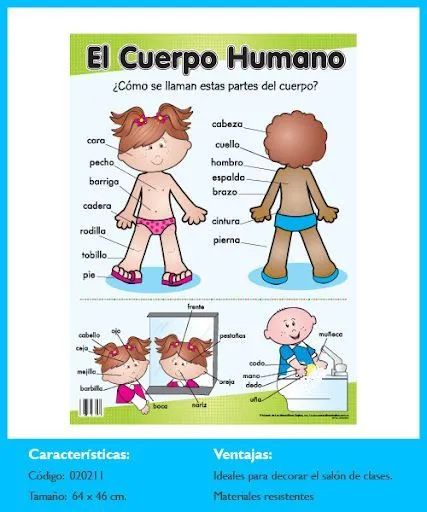 FOTO ideas recientes - Sonia.1 - Picasa Web Albums | Conceptes ...