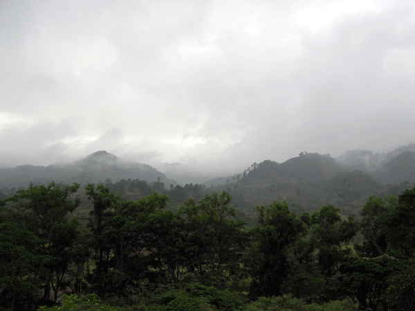 Foto: La niebla cubrió las montañas