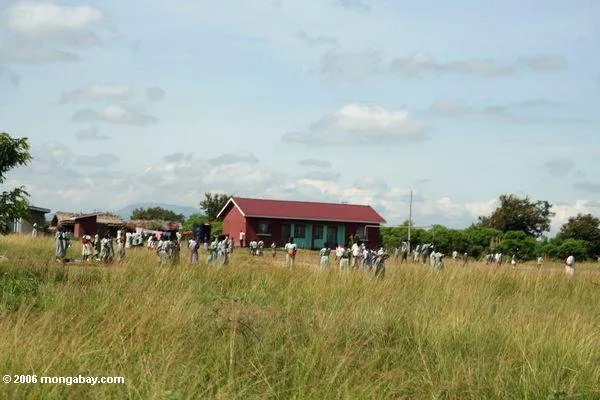 Foto: Niños de escuela en un campo en Uganda