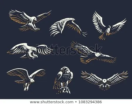 Foto stock - gráfico · cabeza · calvo · águila · vector ...