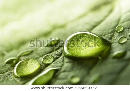 Foto stock - hermosa · verde · agua · gotas · fondo · textura ...