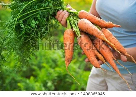 Foto stock - mujer · sonrisa · cara · feliz · verde · funny ...