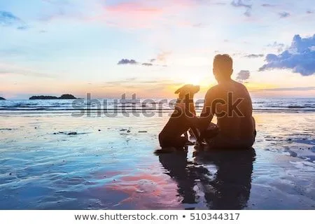 Foto stock - nino · perro · naturaleza · negro · silueta ...