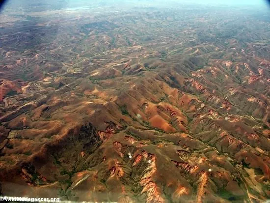 Foto: Tala de árboles en Madagascar (opinión del pájaro-