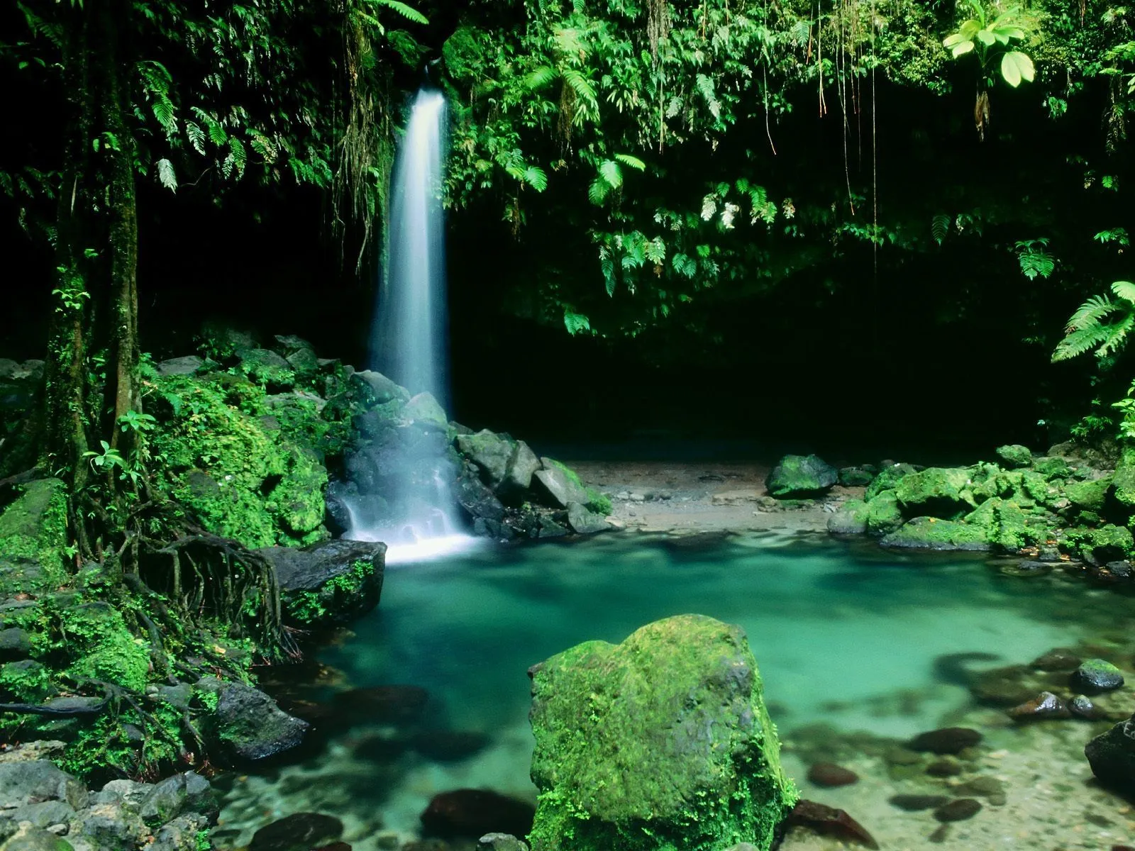 FOTOFRONTERA: Cascada de agua clara en el bosque