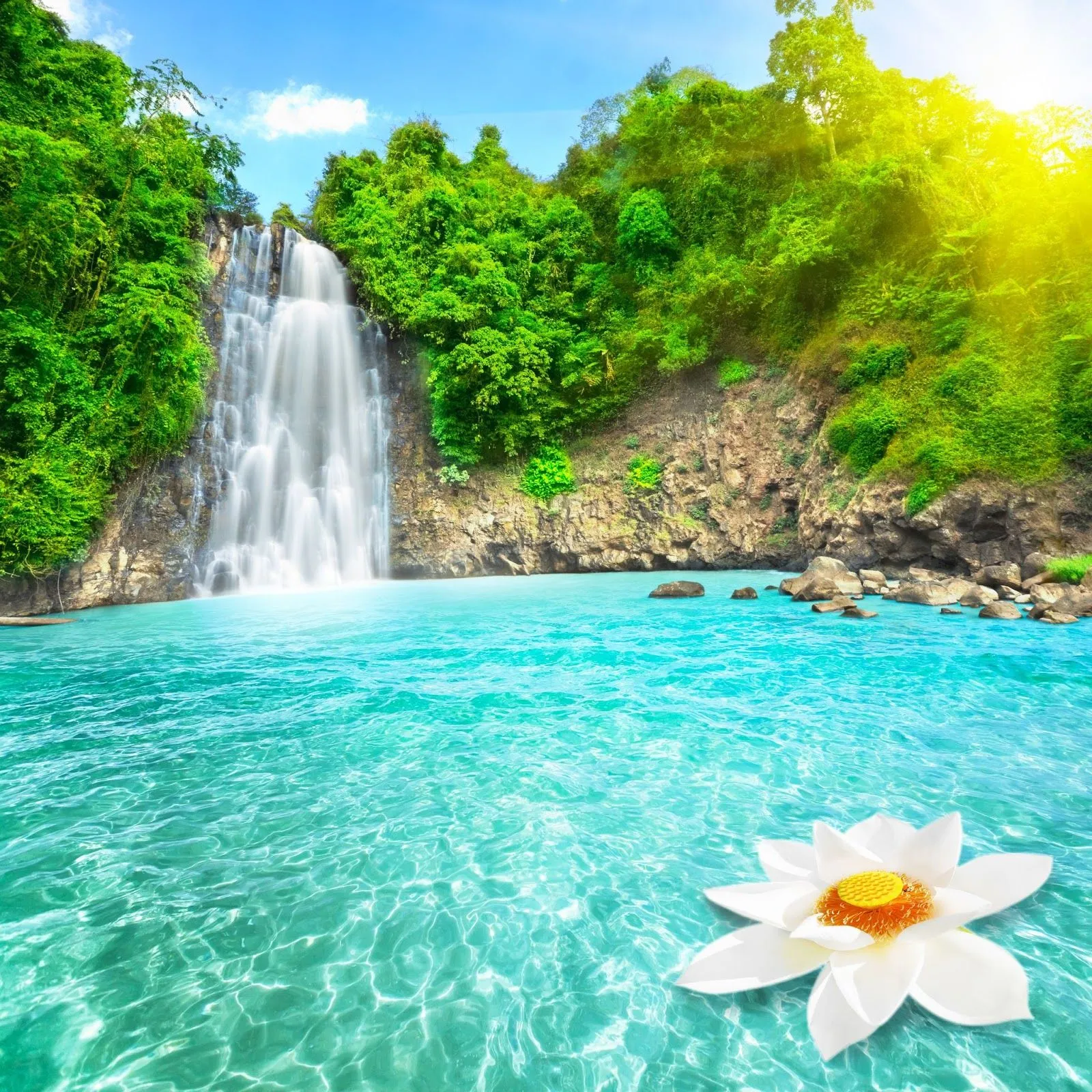 FOTOFRONTERA: Cascada de agua turquesa con flores hermosas