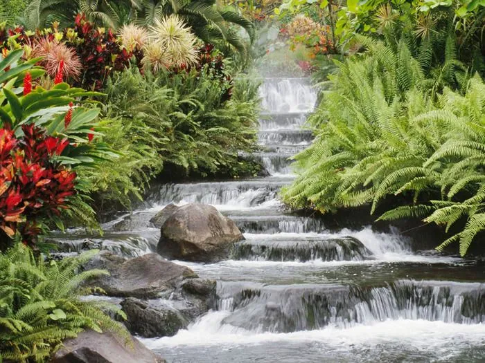 FOTOFRONTERA: Cascada rodeada de flores de colores