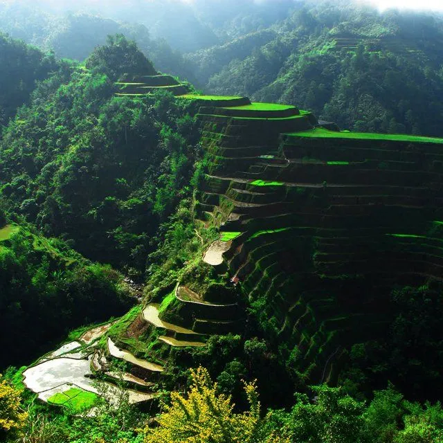 Fascinantes paisajes de china - Terrazas de arróz