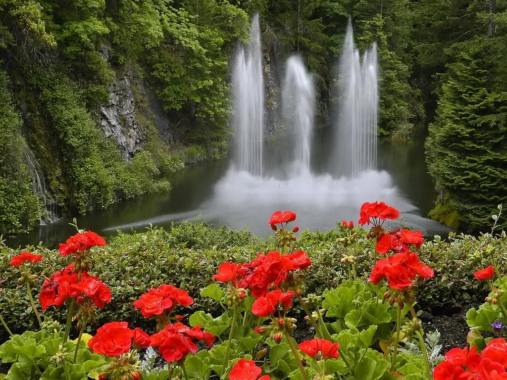 FOTOFRONTERA: Flores perfumadas adornando la cascada