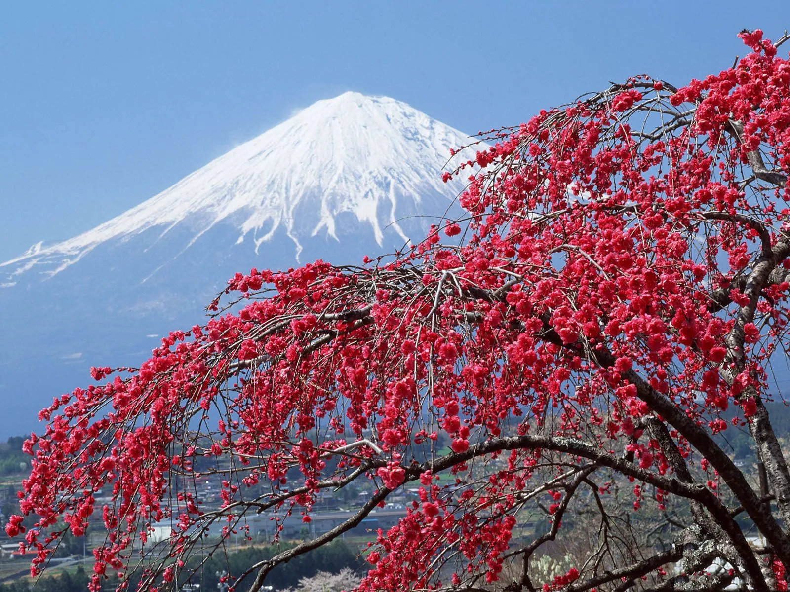 FOTOFRONTERA: 6 Imágenes bonitas de paisajes para disfrutar