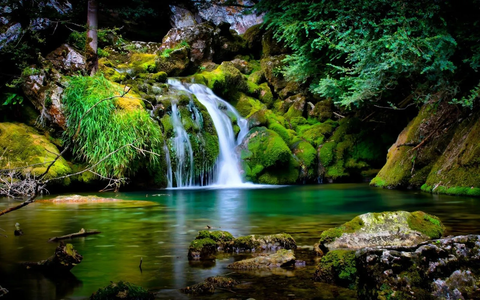 FOTOFRONTERA: Pequeña cascada de agua turquesa en el bosque