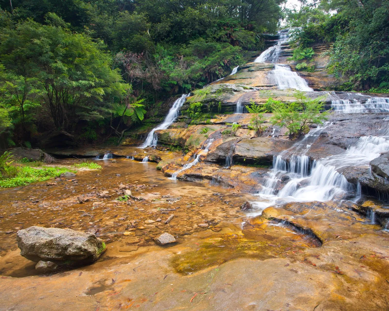 FOTOFRONTERA: Pequeña cascada en el bosque