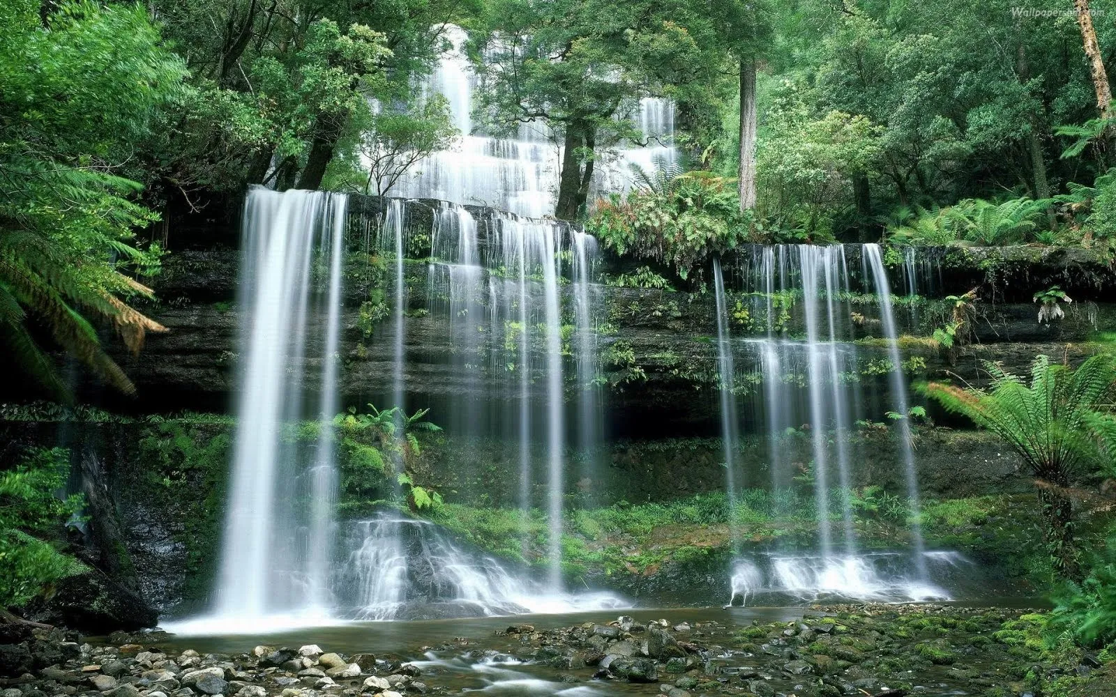 FOTOFRONTERA: Refrescante y encantadora cascada en el bosque