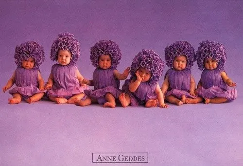 La fotógrafa Anne Geddes plantea un ERE para 86 bebés