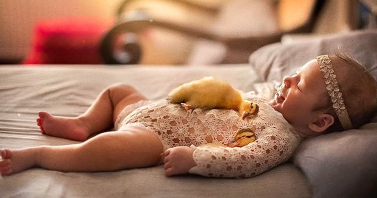 Una fotógrafa captura a bebés recién nacidos junto a sus mascotas, y las fotos son absolutamente adorables / Genial