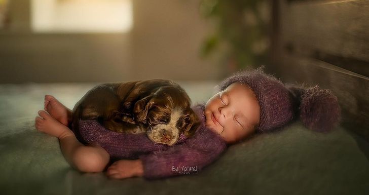 Una fotógrafa captura a bebés recién nacidos junto a sus mascotas, y las fotos son absolutamente adorables / Genial