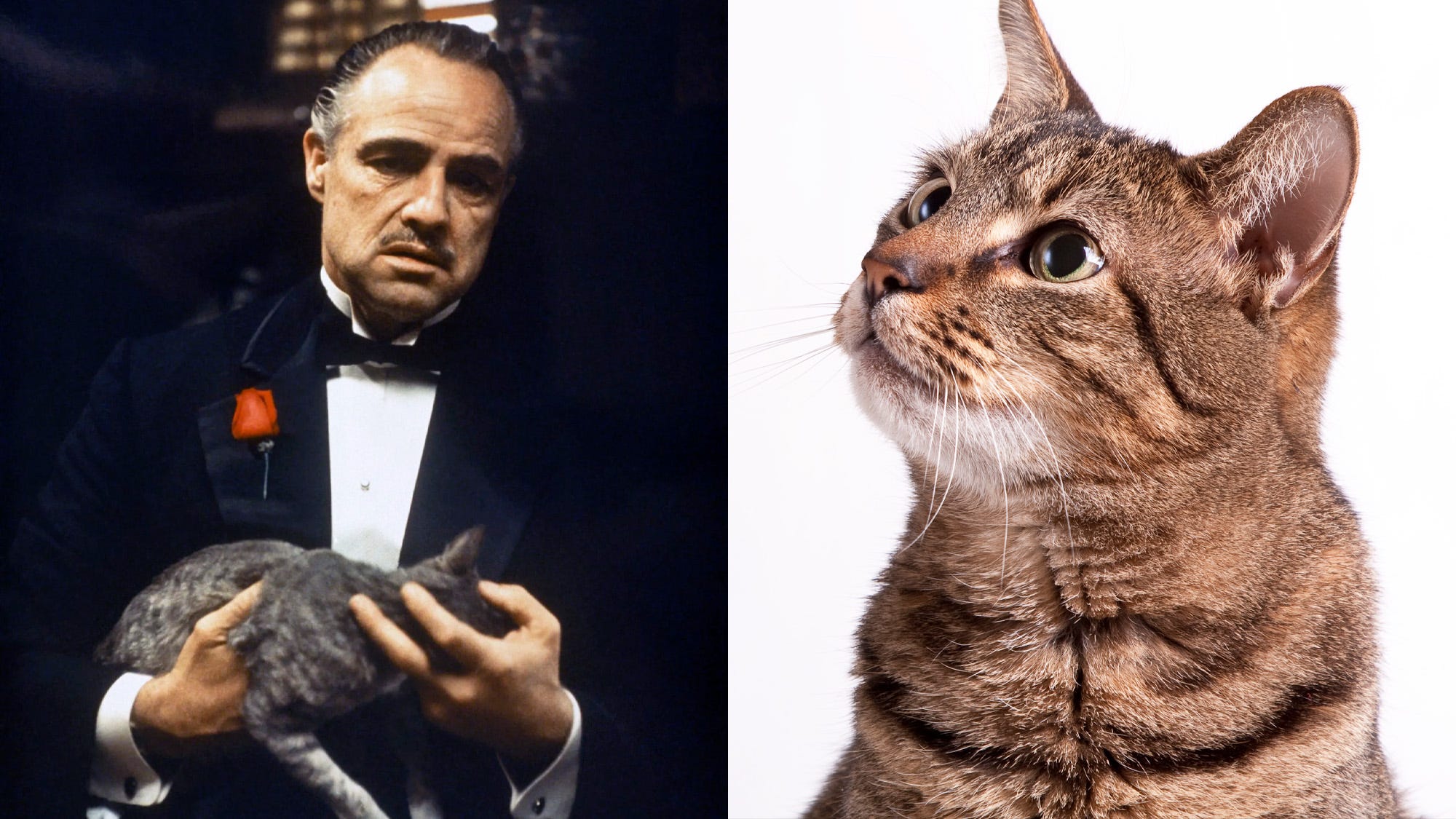 La fotografía de 'El padrino', por Gordon Willis