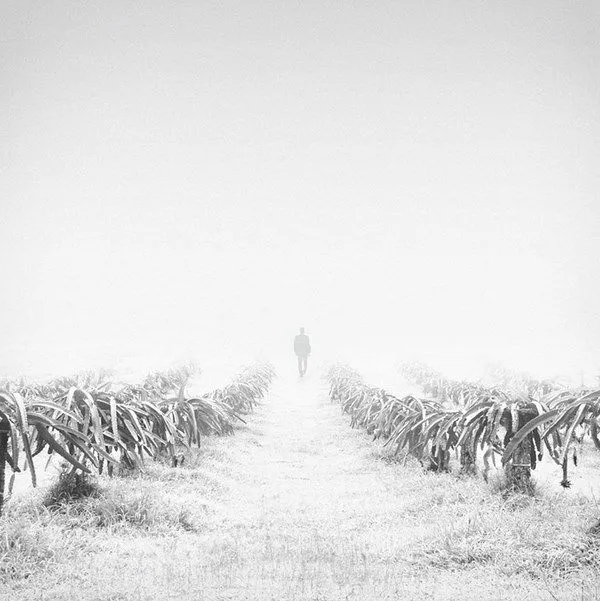 Fotografía Minimalista de Hossein Zare | Designals