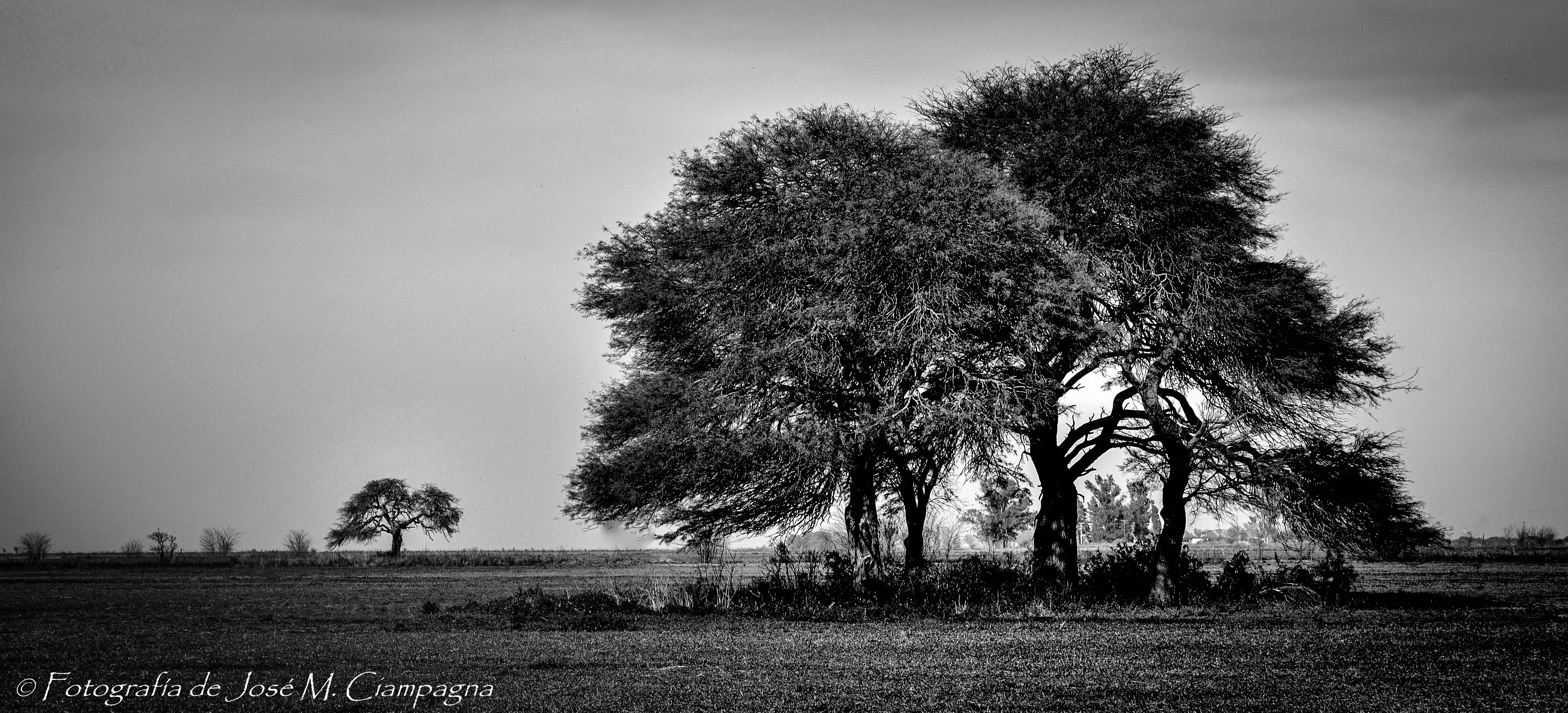 Fotografía: Paisaje de campo en blanco y negro | El blog del profe ...