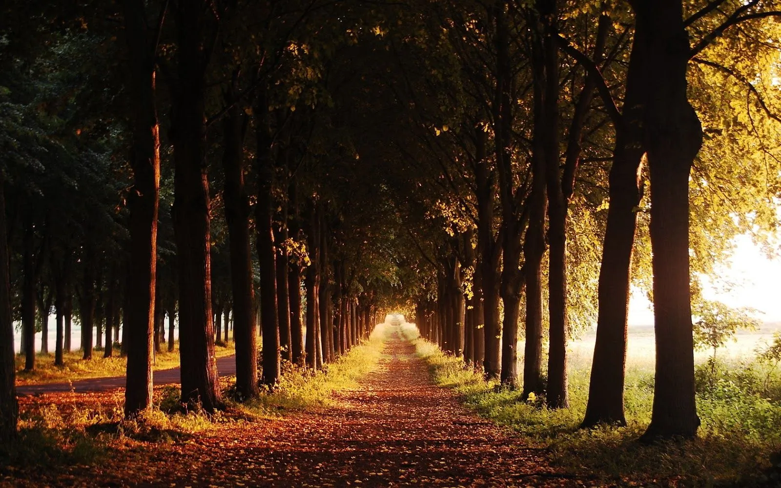 Fotografias de caminos - Fotos Bonitas de Amor | Imágenes Bonitas ...