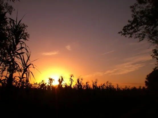 FotoRevista / Carlos D. Cristina Miguel / Amanecer en el Campo