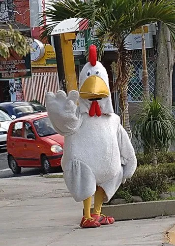 LAS FOTOS DE ALOPEZ: Un pollo triste...