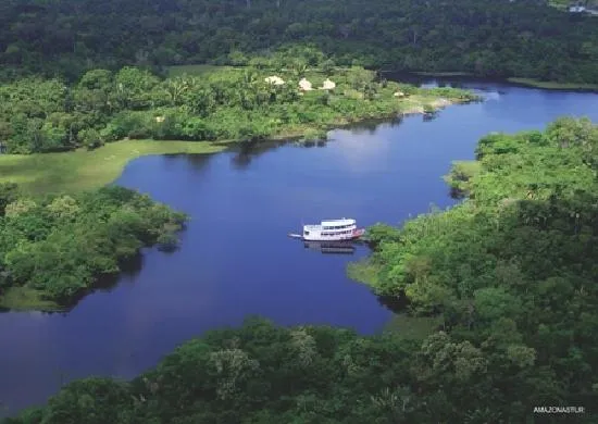 Fotos de Estado de Amazonas - Imágenes destacadas de Estado de ...