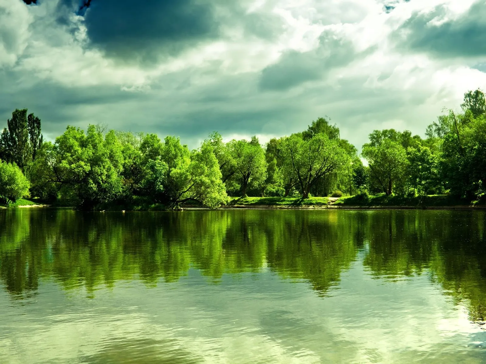 Fotos de arboles lago para facebook ~ Mejores Fotos del Mundo ...