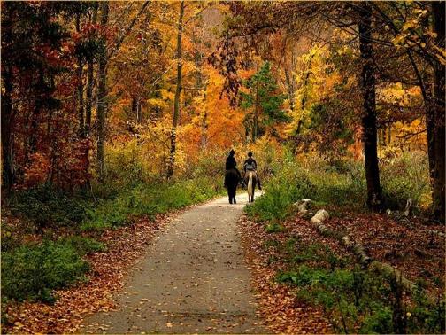 Fotos de caminos, recorriendo la vida | SobreFotos