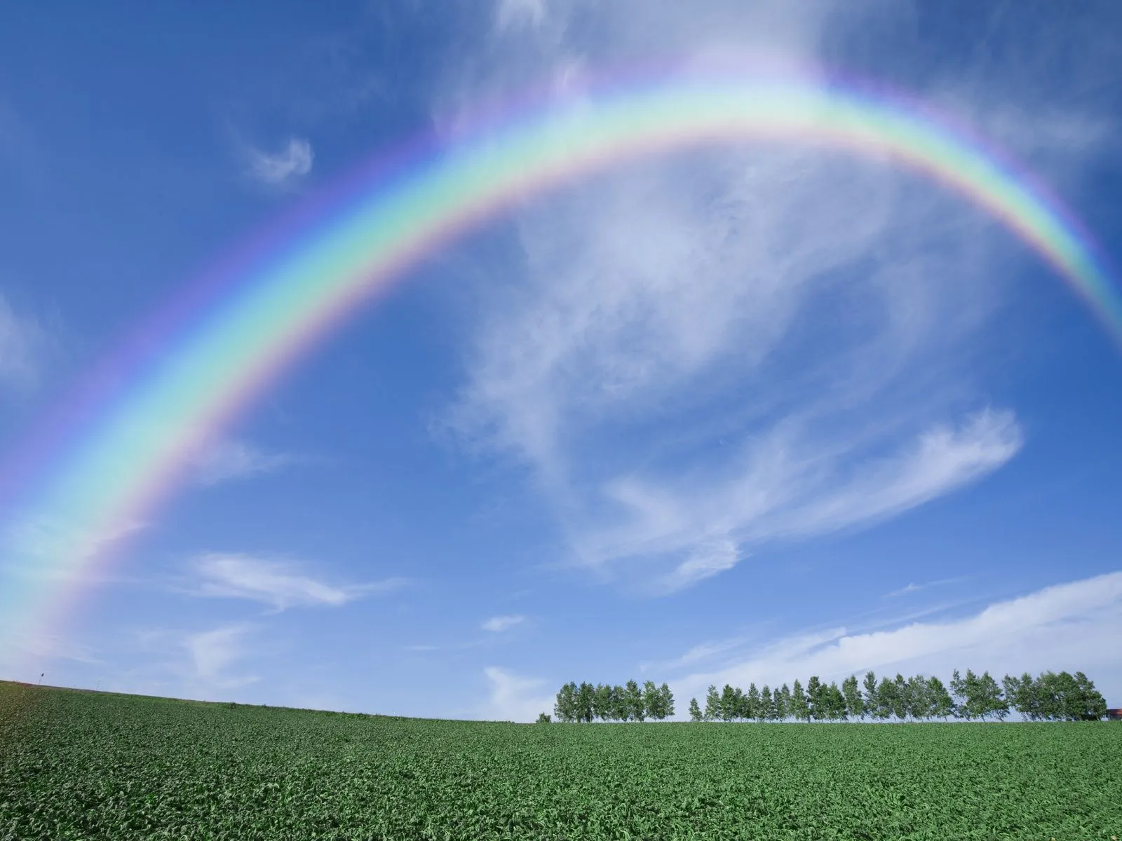 Fotos de campo arco iris para facebook ~ Mejores Fotos del Mundo ...